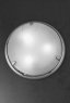 Настенно-потолочный светильник NU 9-386/31 Titan